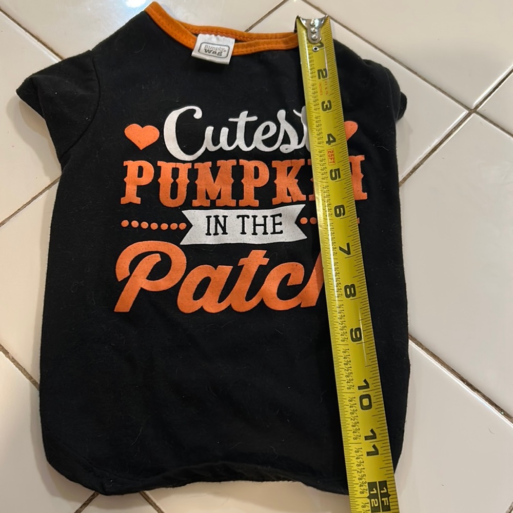 Cutest pumpkin  in the patch doggy dress